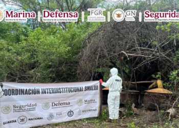 cuatro zonas sustancias Sinaloa