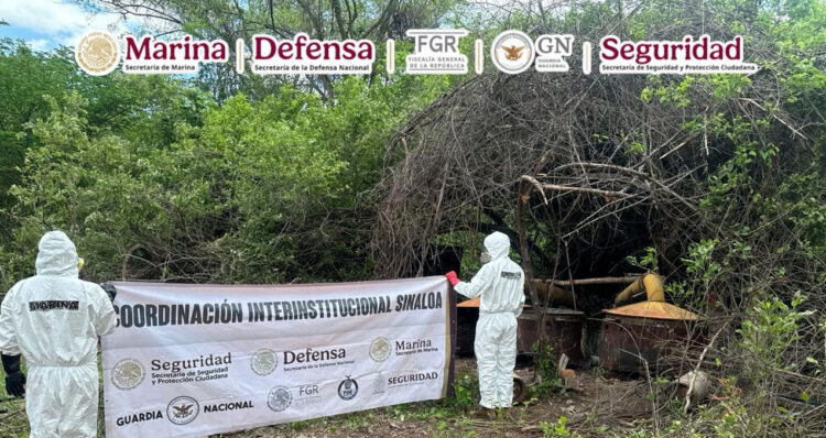 cuatro zonas sustancias Sinaloa