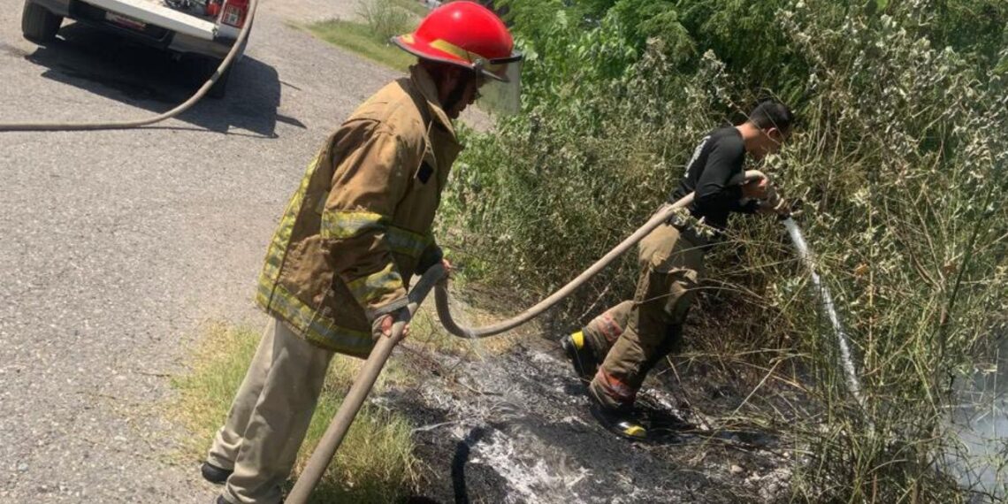 Bomberos controlan incendio en lote baldío de Cd. Victoria, Tamaulipas