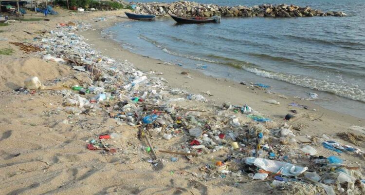 Cofepris playas contaminadas 2025