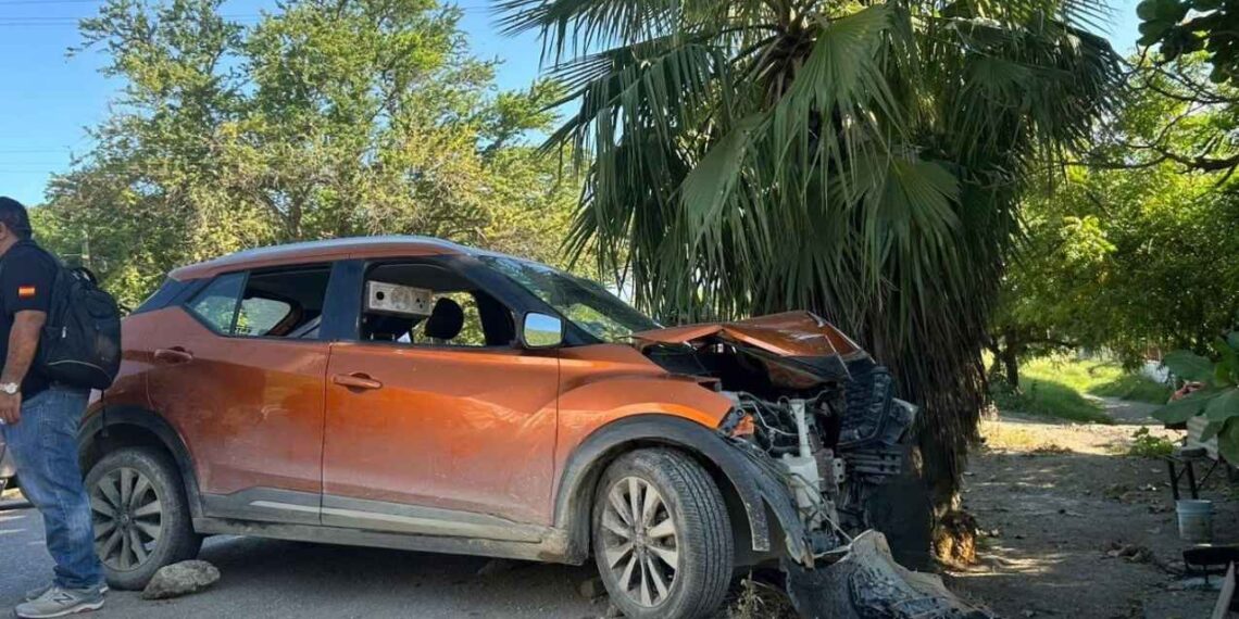 lesionado palmera El Abra