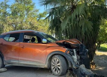 lesionado palmera El Abra