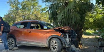 lesionado palmera El Abra