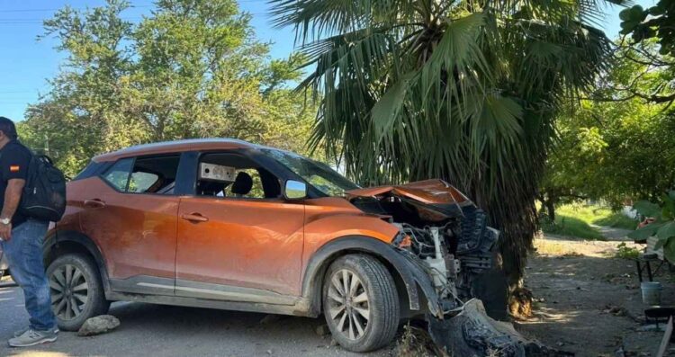 lesionado palmera El Abra