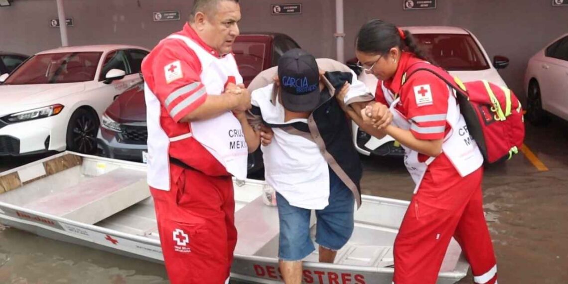 Don Guadalupe Matamoros