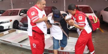 Don Guadalupe Matamoros