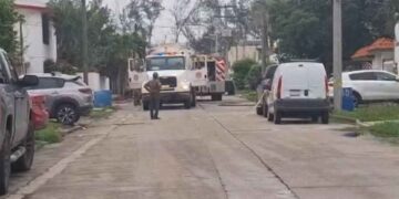 Enjambre de avispas ataca a vecinos y albañiles en Ciudad Madero, Tamaulipas