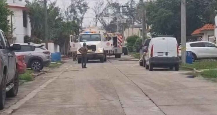 Enjambre de avispas ataca a vecinos y albañiles en Ciudad Madero, Tamaulipas