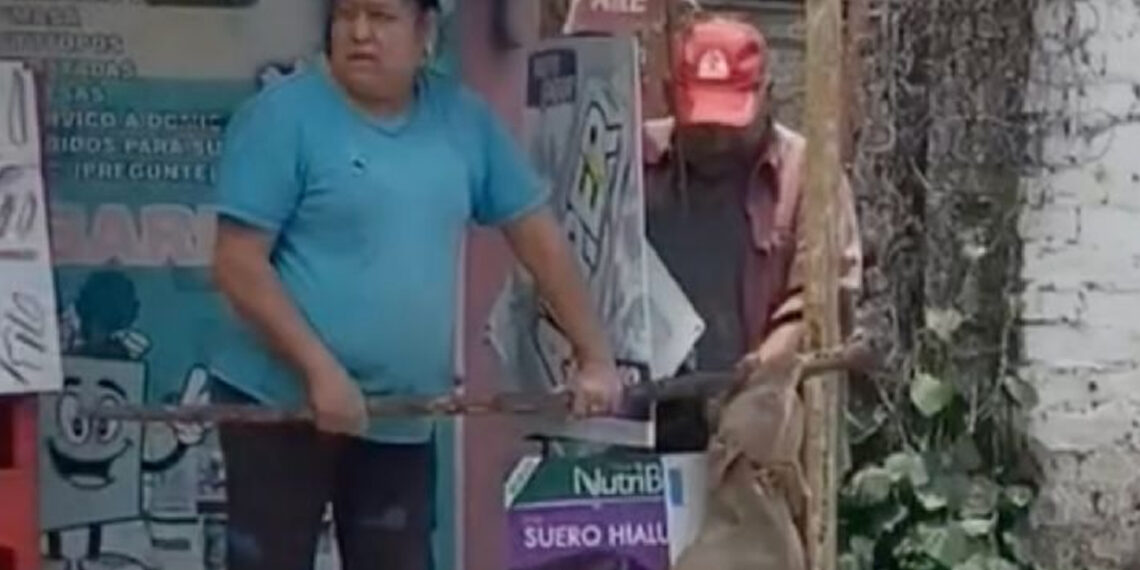 Exigen justicia para Canelo, perrito asesinado por tortilleros en Texcoco