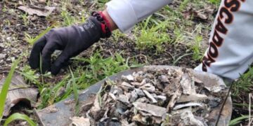 Hallan cuerpo en fosa clandestina en Tonalá; madres buscadoras compartieron detalles en redes