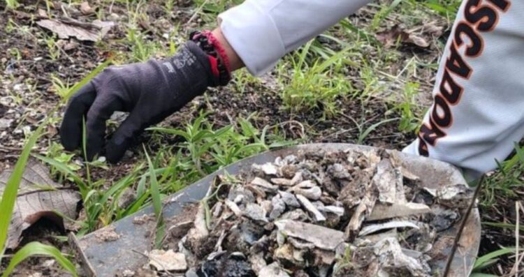 Hallan cuerpo en fosa clandestina en Tonalá; madres buscadoras compartieron detalles en redes