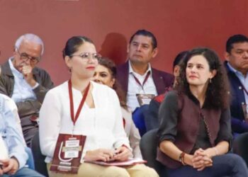 Morena Comités Seccionales