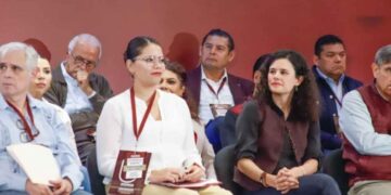 Morena Comités Seccionales