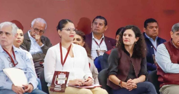 Morena Comités Seccionales
