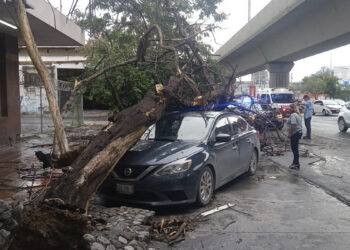 Lluvias causan caos vial y daños en Monterrey, Nuevo León; reportan árboles y postes caídos