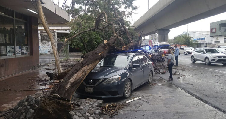 Lluvias causan caos vial y daños en Monterrey, Nuevo León; reportan árboles y postes caídos
