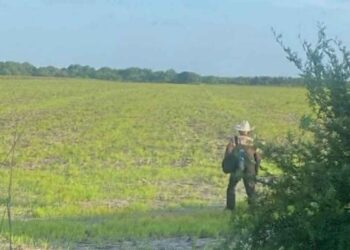 hombre de la tercera edad Matamoros localizado