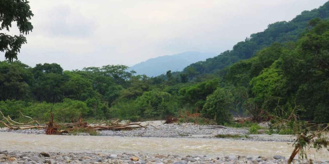 hombre San Pedro de las Colinas