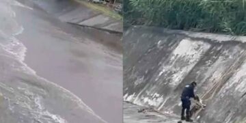 niño arrastrado arroyo La Talavera