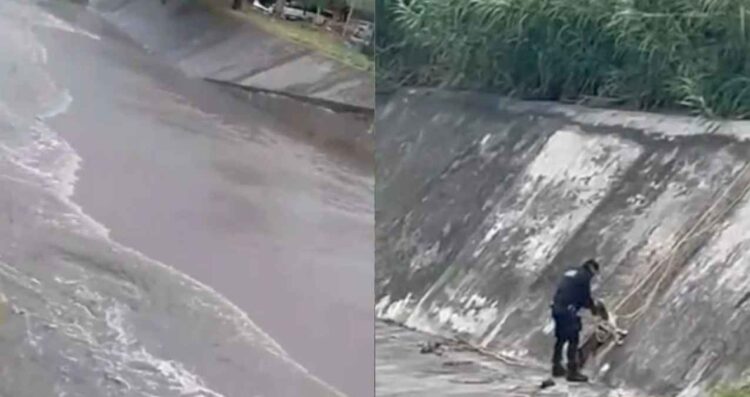 niño arrastrado arroyo La Talavera