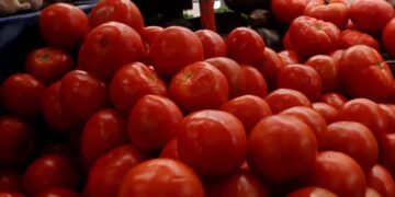México alista plan para salvar exportación del jitomate tras el reciente arancel de Estados Unidos