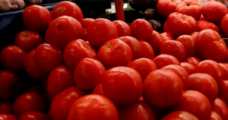 México alista plan para salvar exportación del jitomate tras el reciente arancel de Estados Unidos