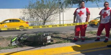 Motociclista muere tras chocar con palma en carretera Torreón-San Pedro