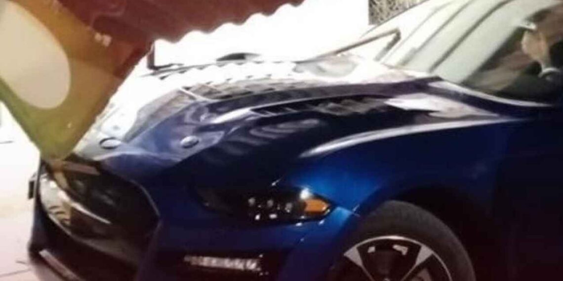 Mustang Valle Hermoso