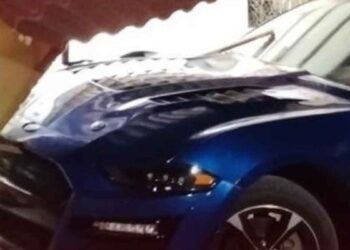 Mustang Valle Hermoso