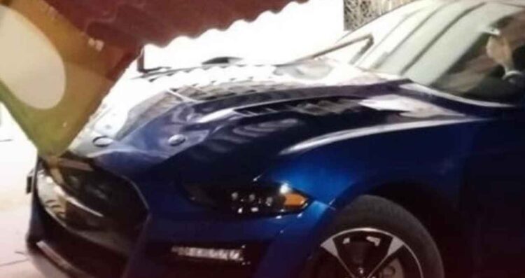 Mustang Valle Hermoso