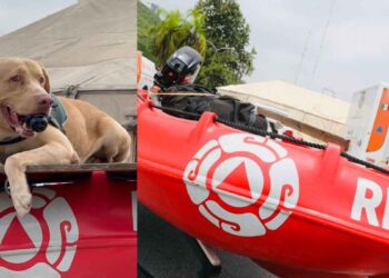 Nuevo León se solidariza con Texas; enviará rescatistas y a Joe de la Manada K9 para ayudar en las inundaciones