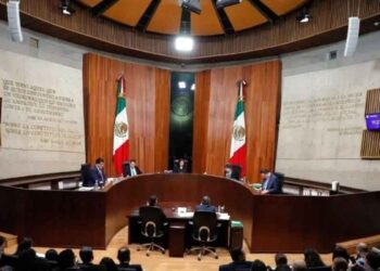 Defensorxs TEPJF “robarse” impugnación