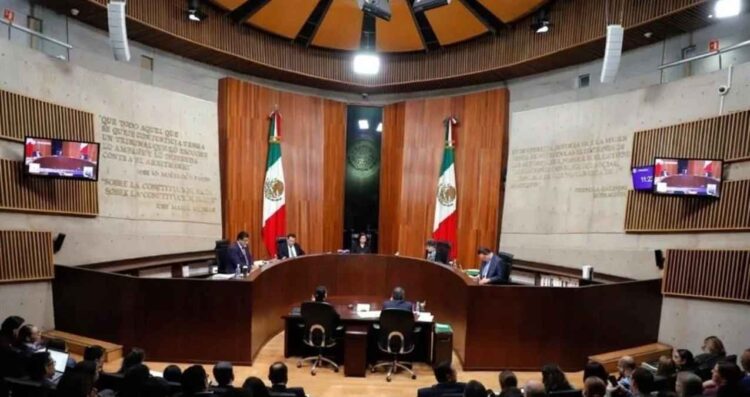 Defensorxs TEPJF “robarse” impugnación
