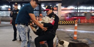 Policías salvan a perrito de una coladera en CDMX y un joven lo adopta