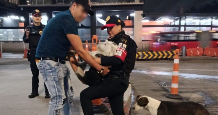 Policías salvan a perrito de una coladera en CDMX y un joven lo adopta