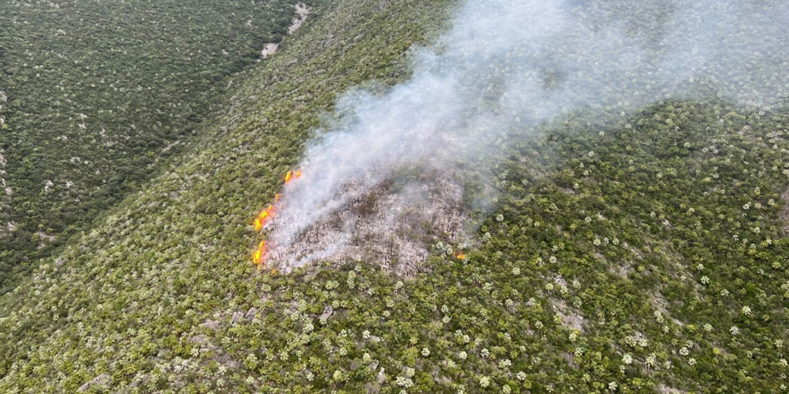Protección Civil combate por aire incendio forestal en Villaldama, Nuevo León