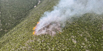 Protección Civil combate por aire incendio forestal en Villaldama, Nuevo León
