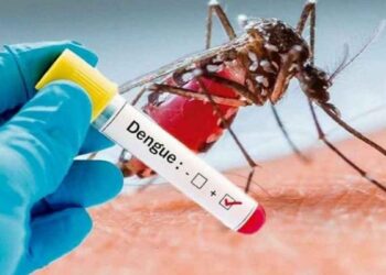 Reportan primera muerte por dengue en Nuevo León en este 2025