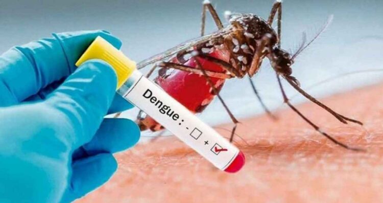 Reportan primera muerte por dengue en Nuevo León en este 2025