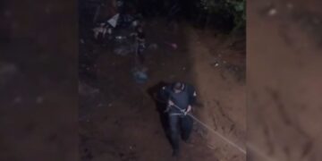 Rescatan a lomito atrapado por deslave en CDMX