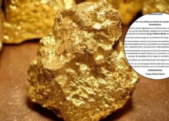 Guadalajara tráiler oro plata