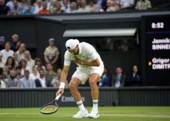 Dimitrov Wimbledon 2025