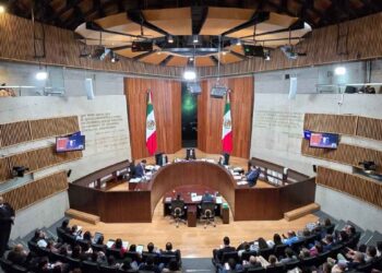 TEPJF INE investigación acordeones