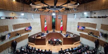 TEPJF INE investigación acordeones
