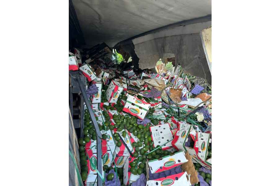 Tráiler cargado con cajas de aguacates vuelca en la carretera Rumbo Nuevo en Ciudad Victoria