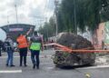 Una roca cae del cerro del Tepeyac y deja a un hombre lesionado en CDMX