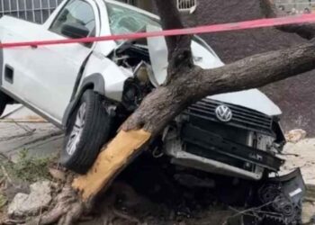 Vehículo impacta a camioneta y la lanza contra un árbol en Guadalajara, Jalisco; hay un herido