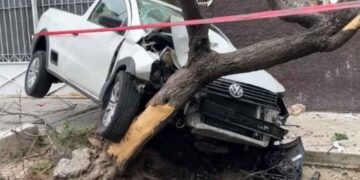 Vehículo impacta a camioneta y la lanza contra un árbol en Guadalajara, Jalisco; hay un herido