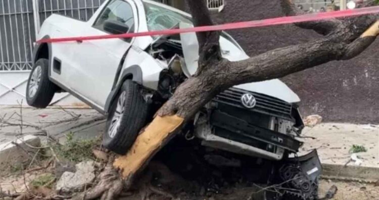 Vehículo impacta a camioneta y la lanza contra un árbol en Guadalajara, Jalisco; hay un herido