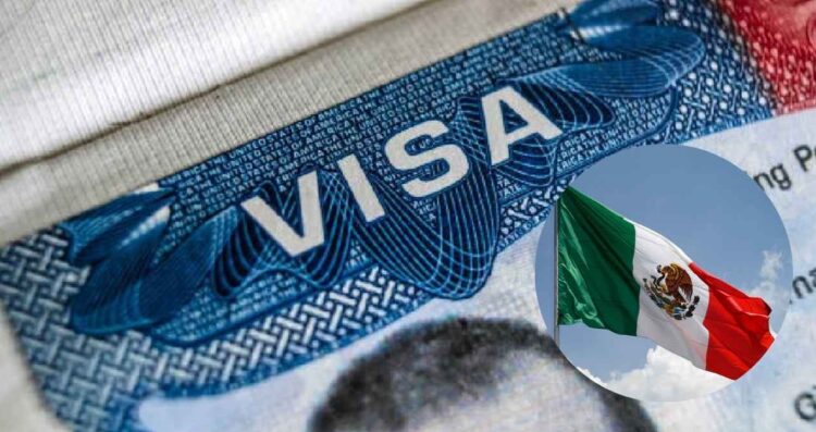 visa electrónica